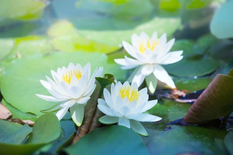 Безсънието не е безобидно състояние! (част 2)